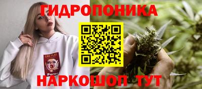 прущие крисы Гусь-Хрустальный