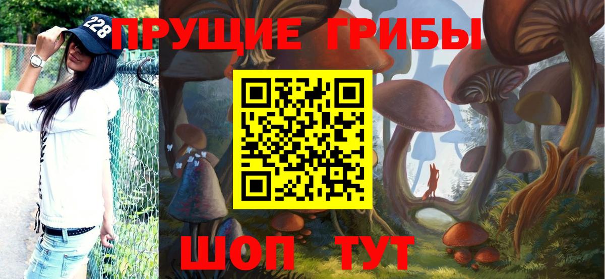 Волоколамск  Псилоцибиновые грибы Magic Shrooms  как найти наркотики  Вход с VPN  Галлюциногенные грибы Magic Shrooms 