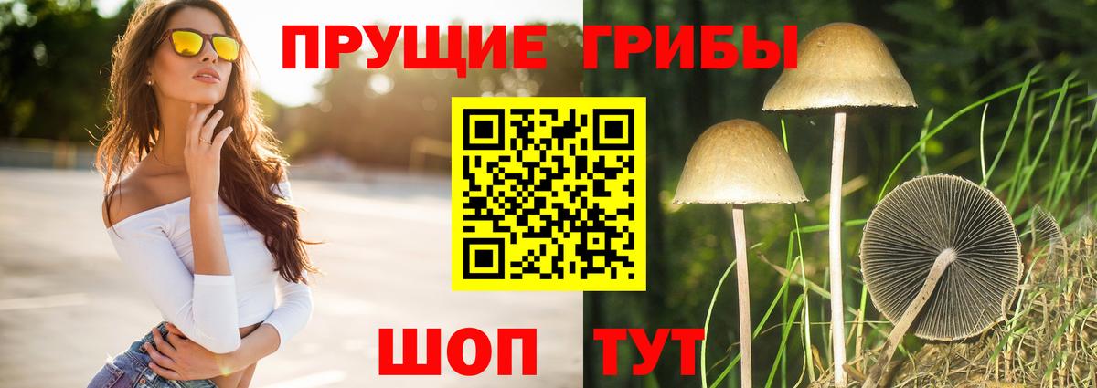 Псилоцибиновые грибы ЛСД Волоколамск